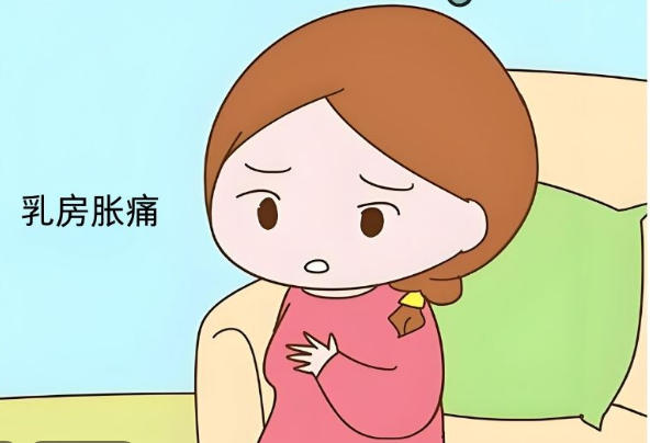 胚胎着床后乳房会轻微胀痛