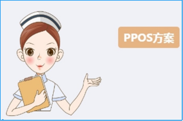 ppos方案是什么意思，一种比较温和的促排方式