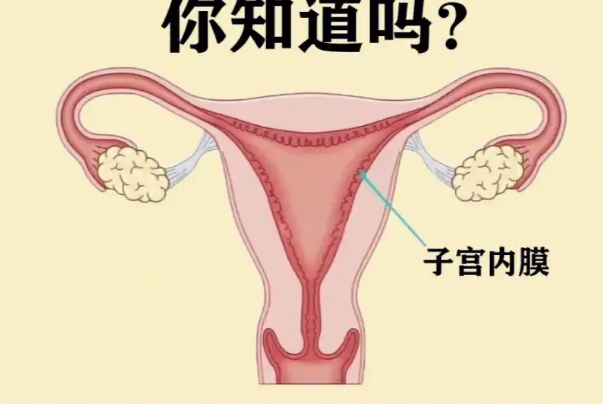 子宫内膜薄可以通过饮食调理