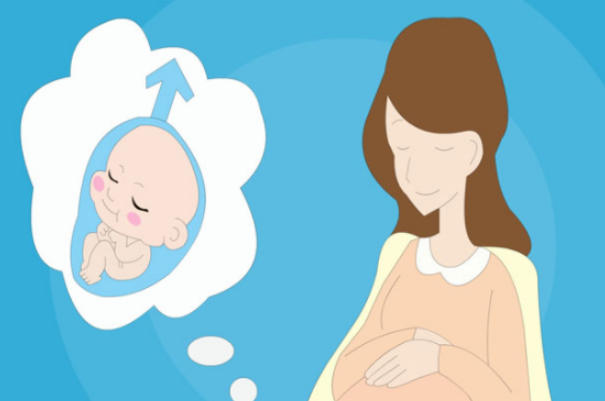 胚胎移植后一般第3天开始着床