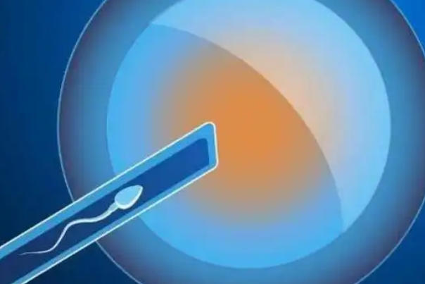 三代试管胚胎移植一次就可以成功着床的多吗？