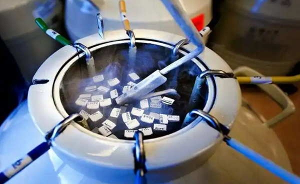 天津中心妇产医院胚胎冷冻保存费用是多少?