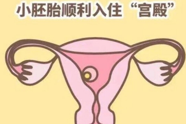 胚胎移植黄金期解密，一般在月经周期第几天成功率最高