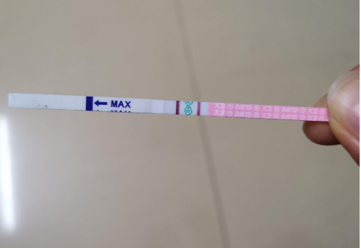 强阳试纸是紫色样