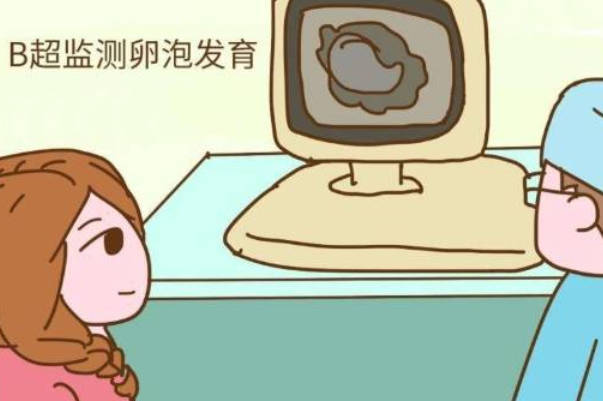 刚进行卵泡监测的人要作息规律