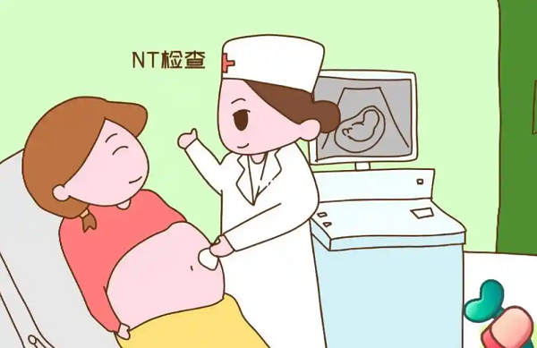 去产科预约nt检查需要告知医生是试管怀孕的吗?