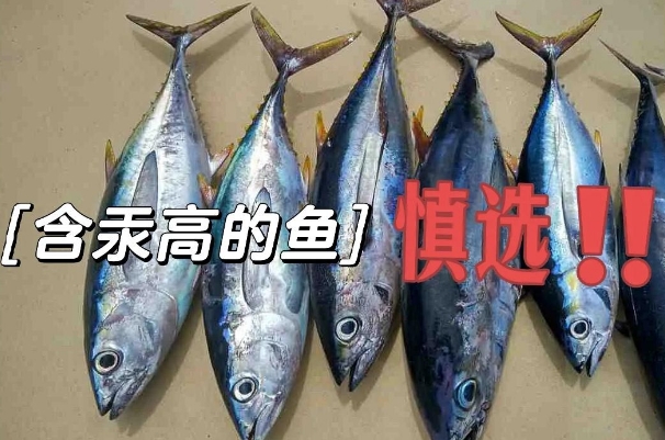 备孕什么不可以吃，高汞鱼类可能影响宝宝神经发育