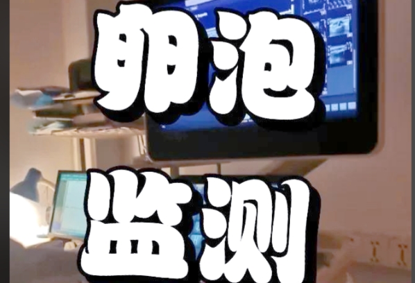 监测卵泡可以把握最佳同房时机