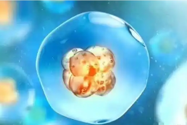 三代试管婴儿可以降低遗传疾病的发生