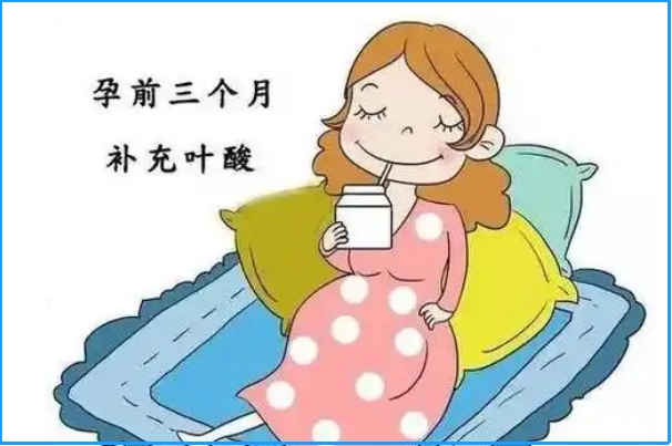 备孕期间要提前三个月补充叶酸