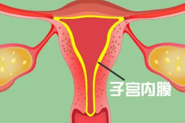 子宫内膜每个周期的厚度都不一样