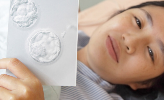 上海十院做试管生男生女几率对比，并非能百分百生王子！