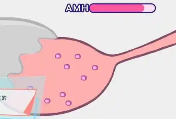 女性amh1.13ng/ml双侧卵巢一般有多少基础卵泡？