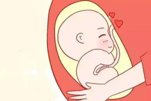 试管移植可以只移植一个胚胎