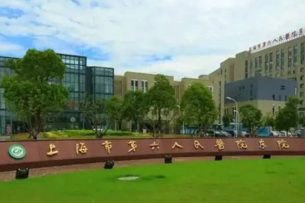 上海六院生殖科门诊时间安排表一览，周末与工作日不同