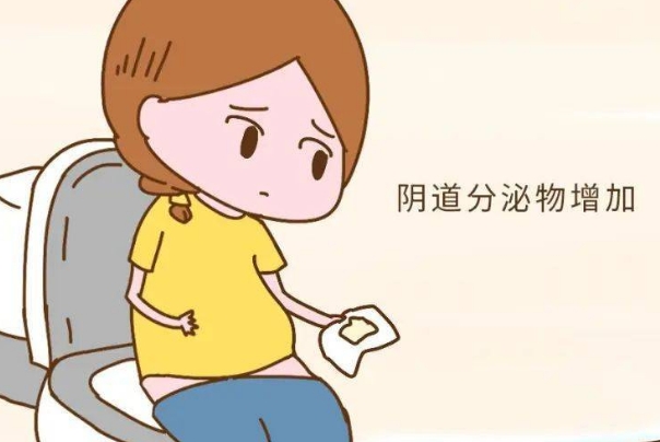 女人水多是不是代表卵巢功能好？一文揭秘女性身体真相