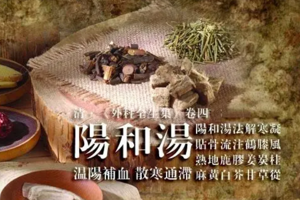 中医药方阳和汤的组成及功效方解具体是什么？