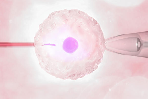 优质生活环境有利于胚胎着床