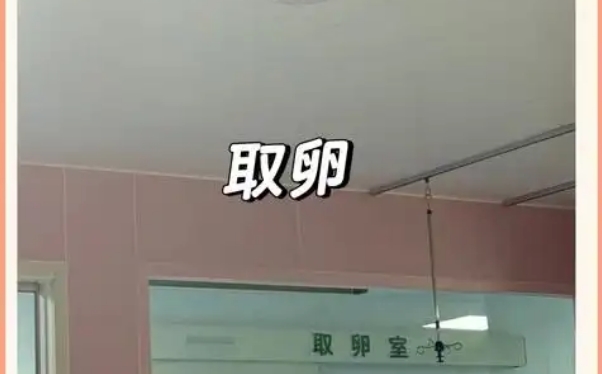 取得卵泡的时候可能会疼