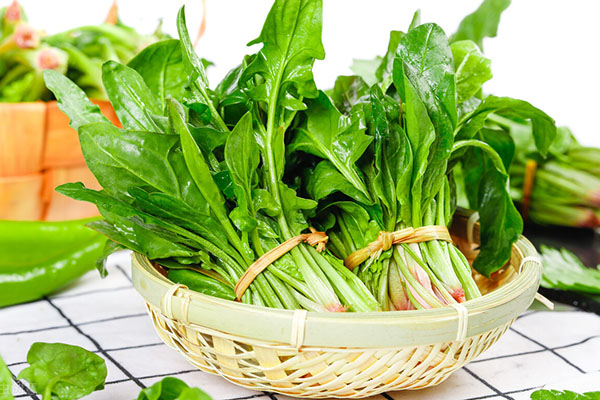 菠菜富含叶绿素