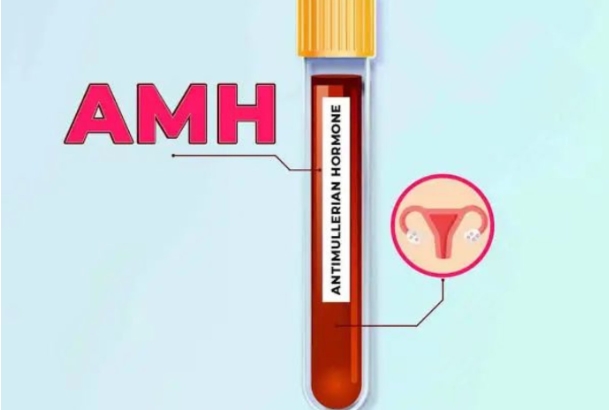 amh值过高做试管要吃达英吗？