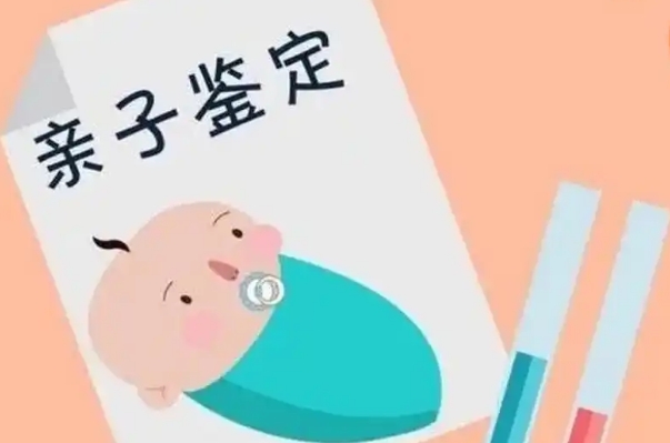在国内想要做亲子鉴定一般需要多少钱?