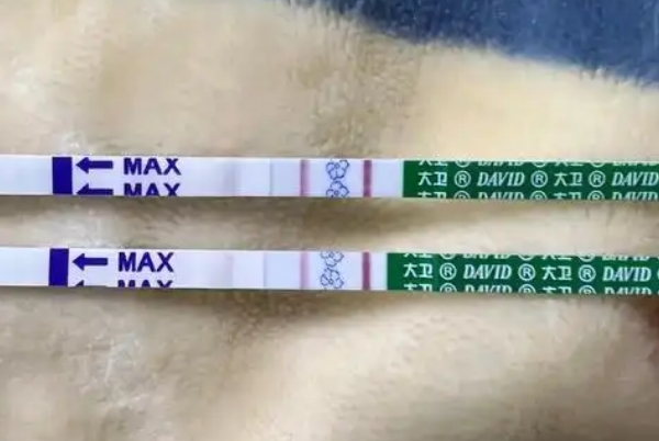 越早测出怀孕说明胚胎质量好，试纸的灵敏度会影响验孕结果