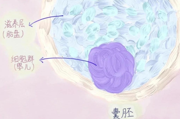 南京二代试管生儿机率，和自然怀孕差不多