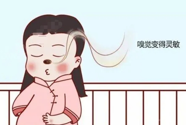 试管移植成功后嗅觉会变得灵敏