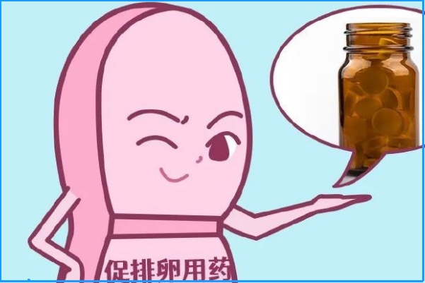 促排卵药物可以调理内分泌系统