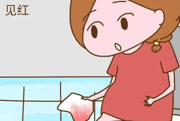孕15周见红要及时就医