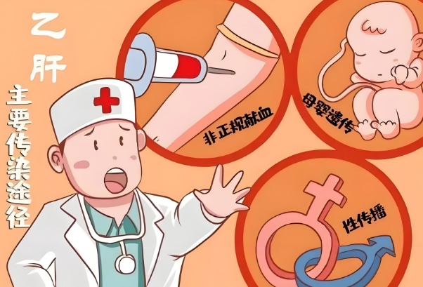 和乙肝同居多久传染，风险可控无需过度焦虑