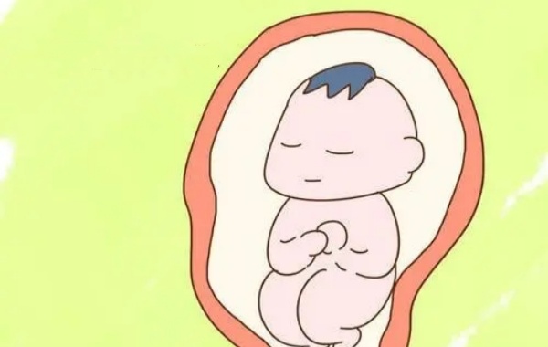 不同孕周股骨长度标准值不同