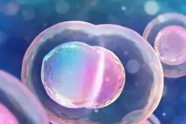 试管冻胚9细胞二级胚胎移植成功的几率大吗？