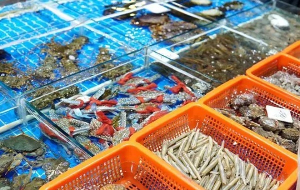 适当摄入可以为机体补充各种营养物质