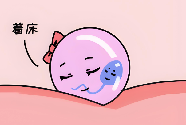 女性做试管移植完冻囊胚后做春梦是预示着床不会成功吗？