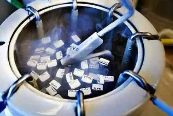 单身是否可以去香港冻卵，单身冻卵需要满足什么要求