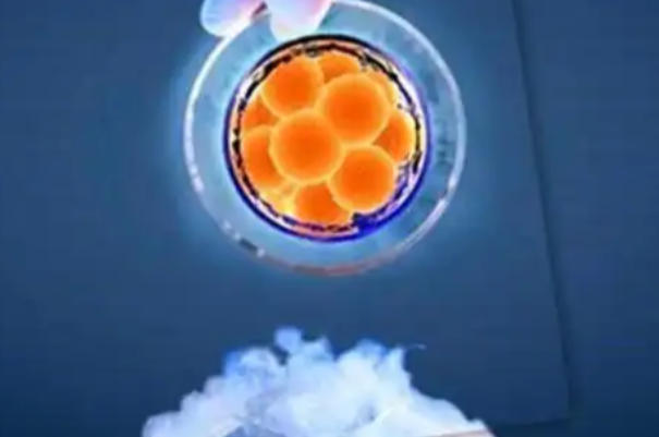 冻胚移植后胚胎1-14天变化全解析，从着床到发育的奥秘