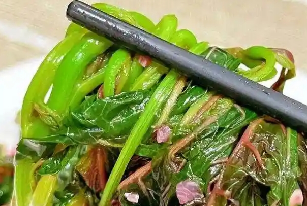 备孕吃什么菜容易怀孕，菠菜含叶酸可以多吃