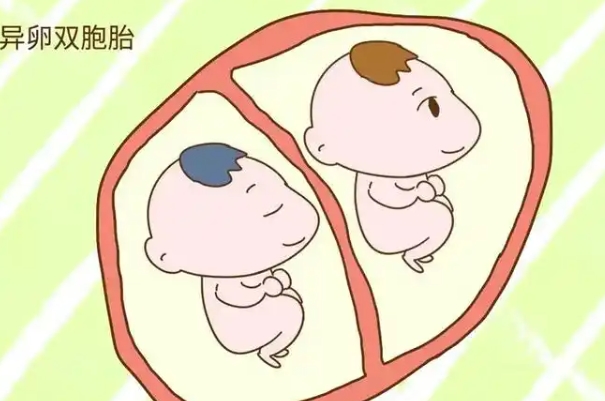 双胎妊娠有较高的风险