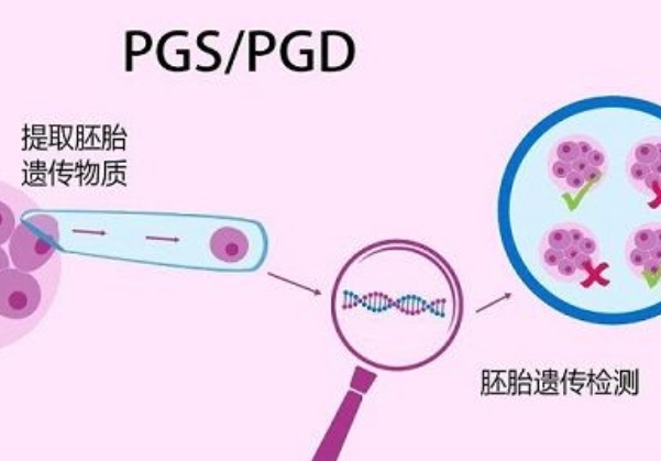 3代试管胚胎检测全部异常正常吗？