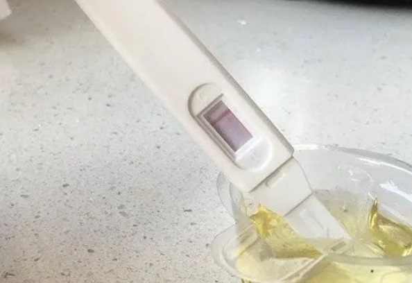试管吃纷乐会影响验孕判断