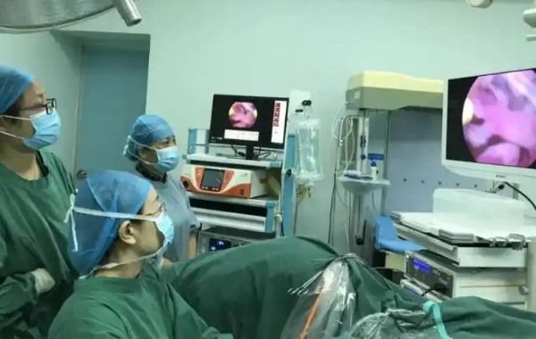 拥有一支由多位国内外知名专家组成的团队