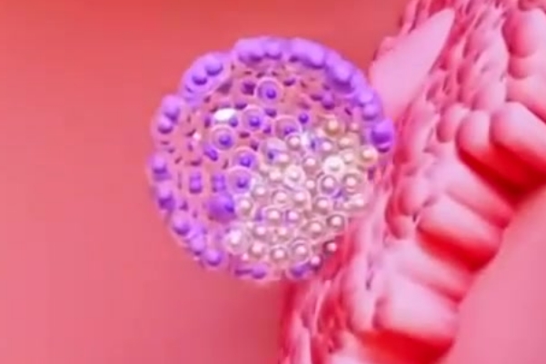 孕五周胚胎到子宫了没？准妈妈必读的早期妊娠科普指南