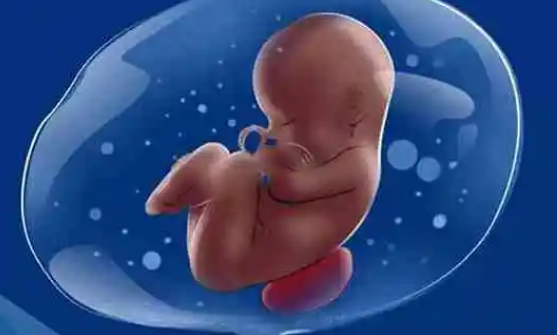 江苏省妇幼保健院可进行供卵试管