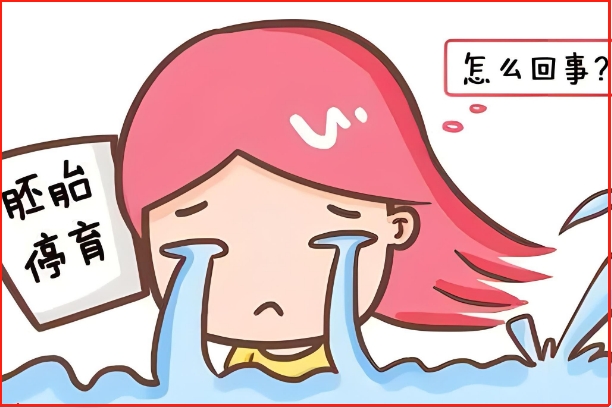 胚胎质量不好一般几周会胎停，8-10周发生率达78%