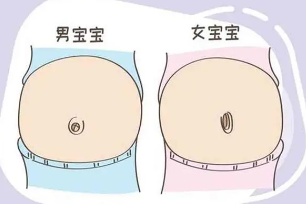 国内禁止鉴定胎儿**