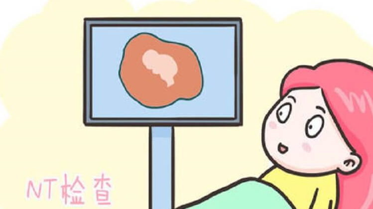 NT检查失败是胎位位置不正确