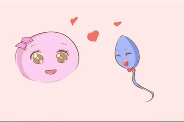 移植胚胎一般一周内完成着床