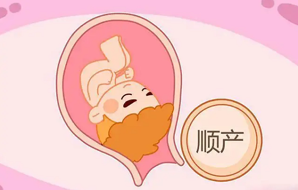 医院等级越高顺产费用越贵